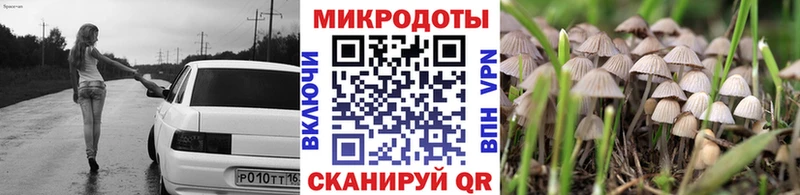 Галлюциногенные грибы Cubensis  Бор 