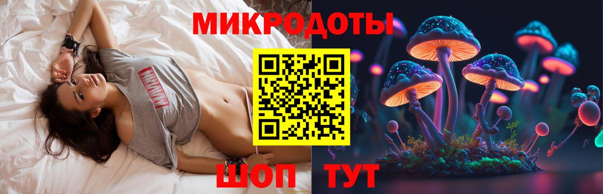 Бор  Псилоцибиновые грибы Psilocybine cubensis  Вход с VPN 